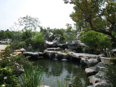 完美体育官网安徽肥西举办园林微景观筑制技术竞赛